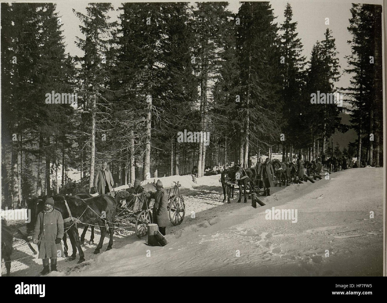 Cette image documente un transport de blessés de la première Guerre mondiale à Kopilas, mettant en évidence l'ampleur et l'organisation des opérations militaires pendant la Grande Guerre. Faisant partie des collections Europeana, il offre un aperçu de la logistique et du soutien médical en temps de guerre. Banque D'Images