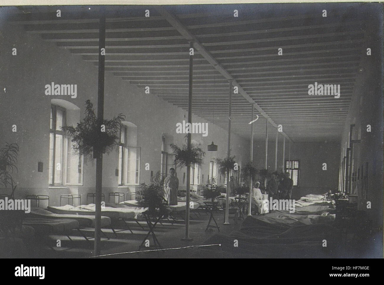 Le 'Malariazimmer' de la Feldspitalea, une salle historique datant de 1506, importante pour son association avec la compréhension médicale du paludisme pendant la période de la Renaissance. La décoration de la salle reflète les connaissances médicales de l'époque, marquant un point central dans l'histoire de la santé en Europe. Banque D'Images