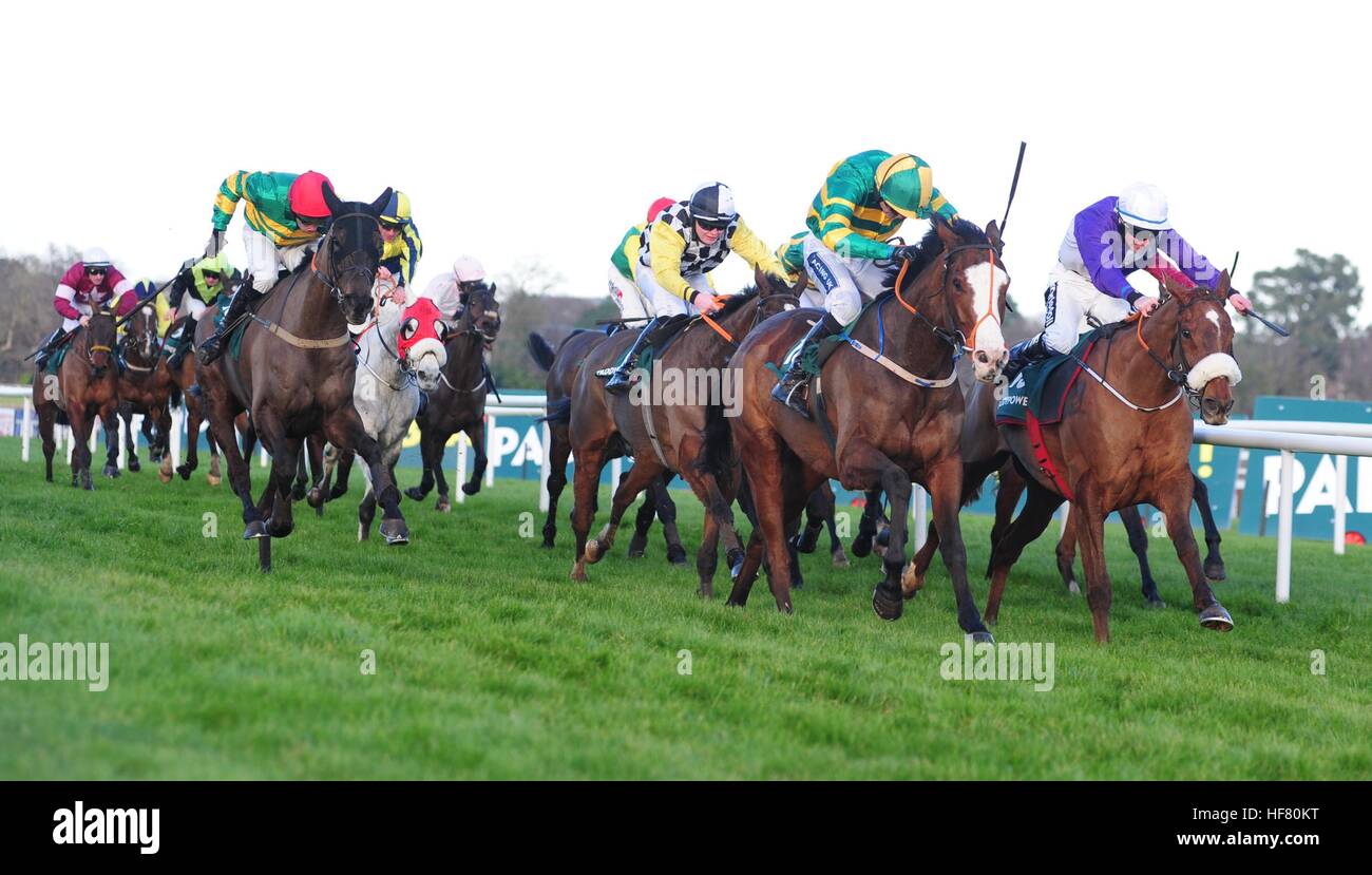 C'est dans la boîte montée par Ruby Walsh se lever tard pour gagner la puissance de Paddy Vous Handicap Hurdle beauté pendant deux jours de la fête de Noël à l'hippodrome de Leopardstown. Banque D'Images