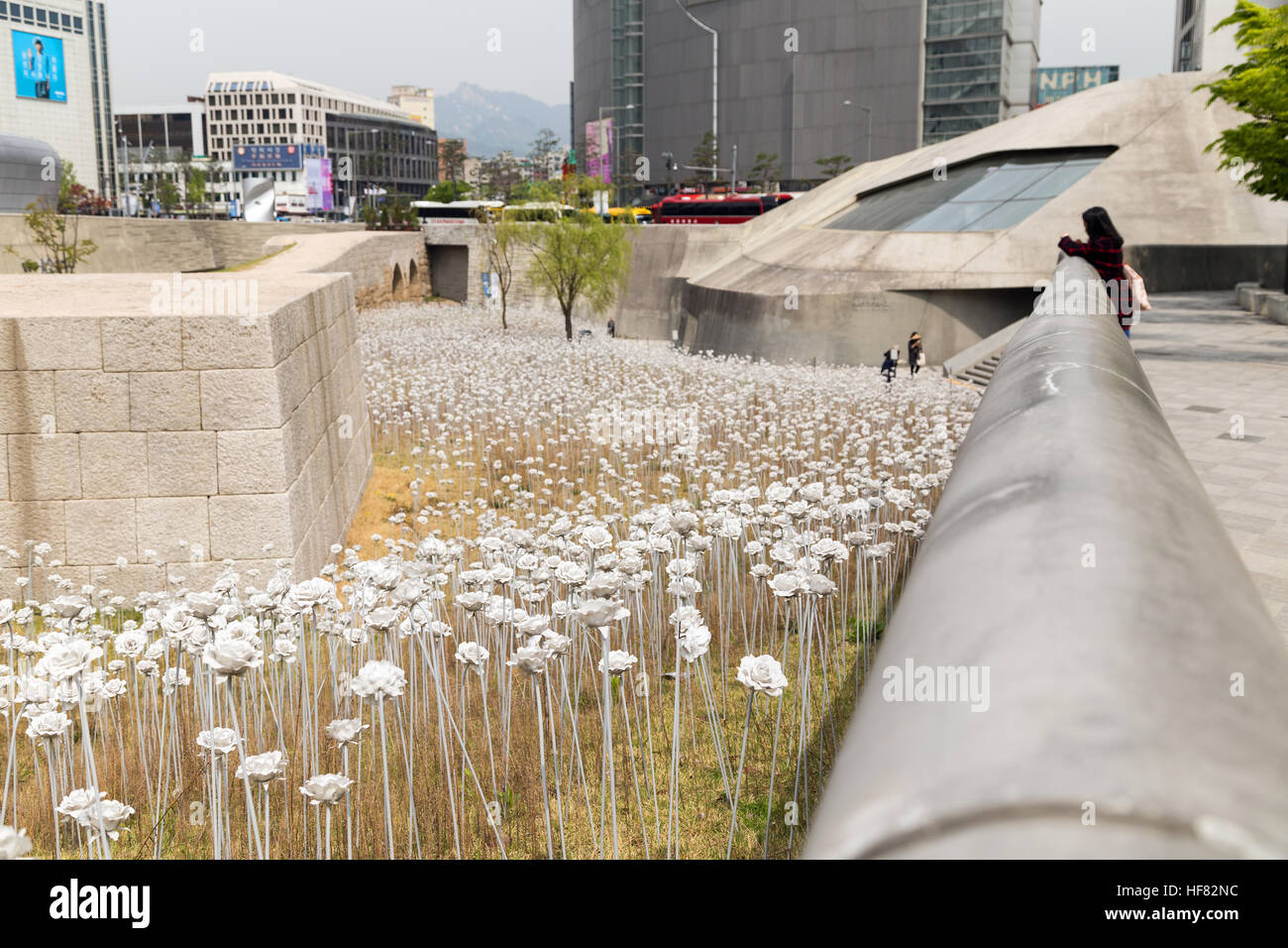 Rose Garden LED, les bâtiments et les gens à côté de la Plaza de conception Dongdaemun de Séoul, Corée du Sud, dans la journée. Banque D'Images