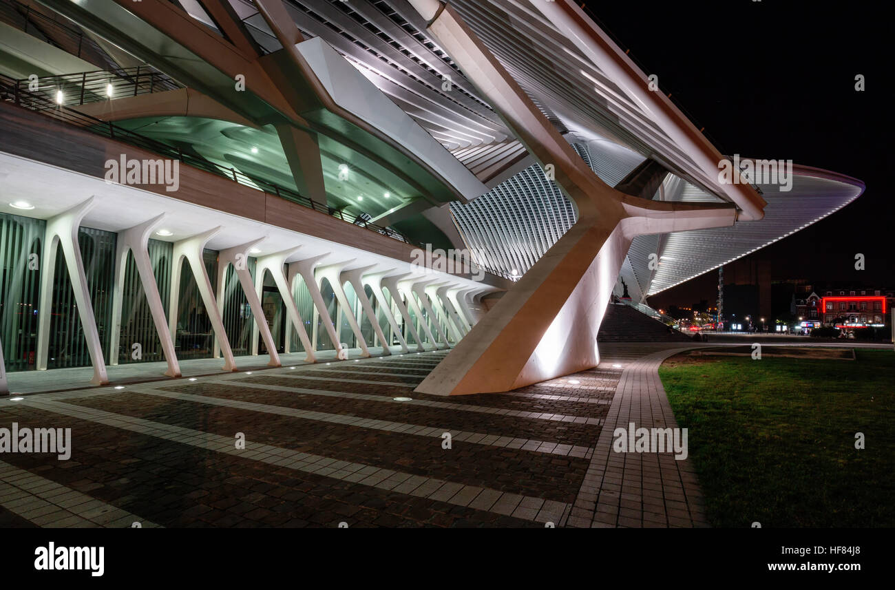 La gare de Liège-Guillemins Banque D'Images