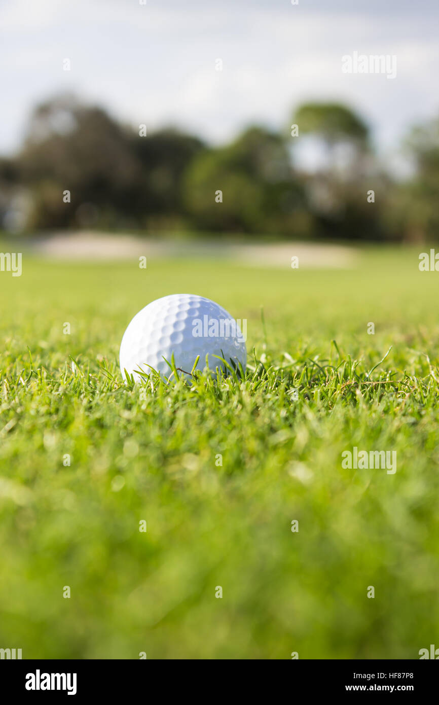 Balle de Golf sur Fairway Banque D'Images