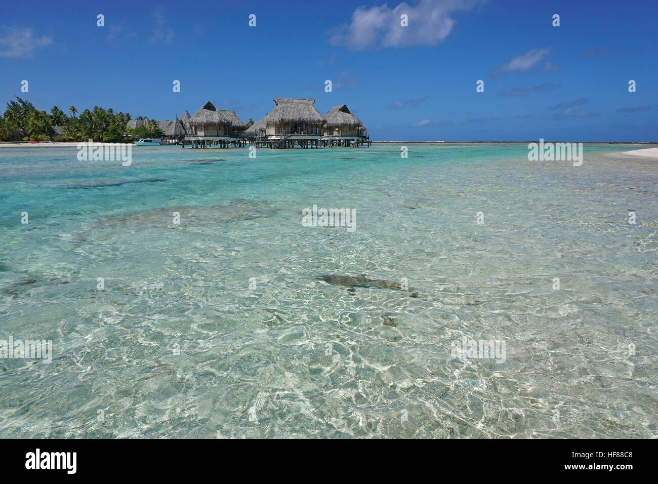 L'eau peu profonde d'un lagon tropical avec bungalows sur pilotis, l'atoll de Tikehau, archipel des Tuamotu, en Polynésie française, l'océan Pacifique Banque D'Images