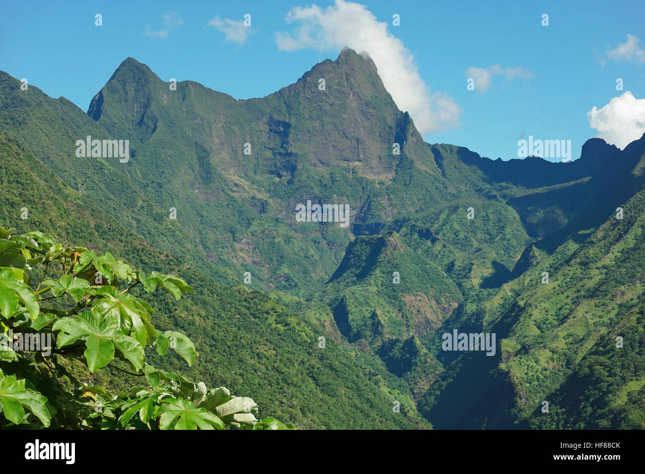 Tahiti Paysage De Montagne Le Mont Orohena Point Le Plus