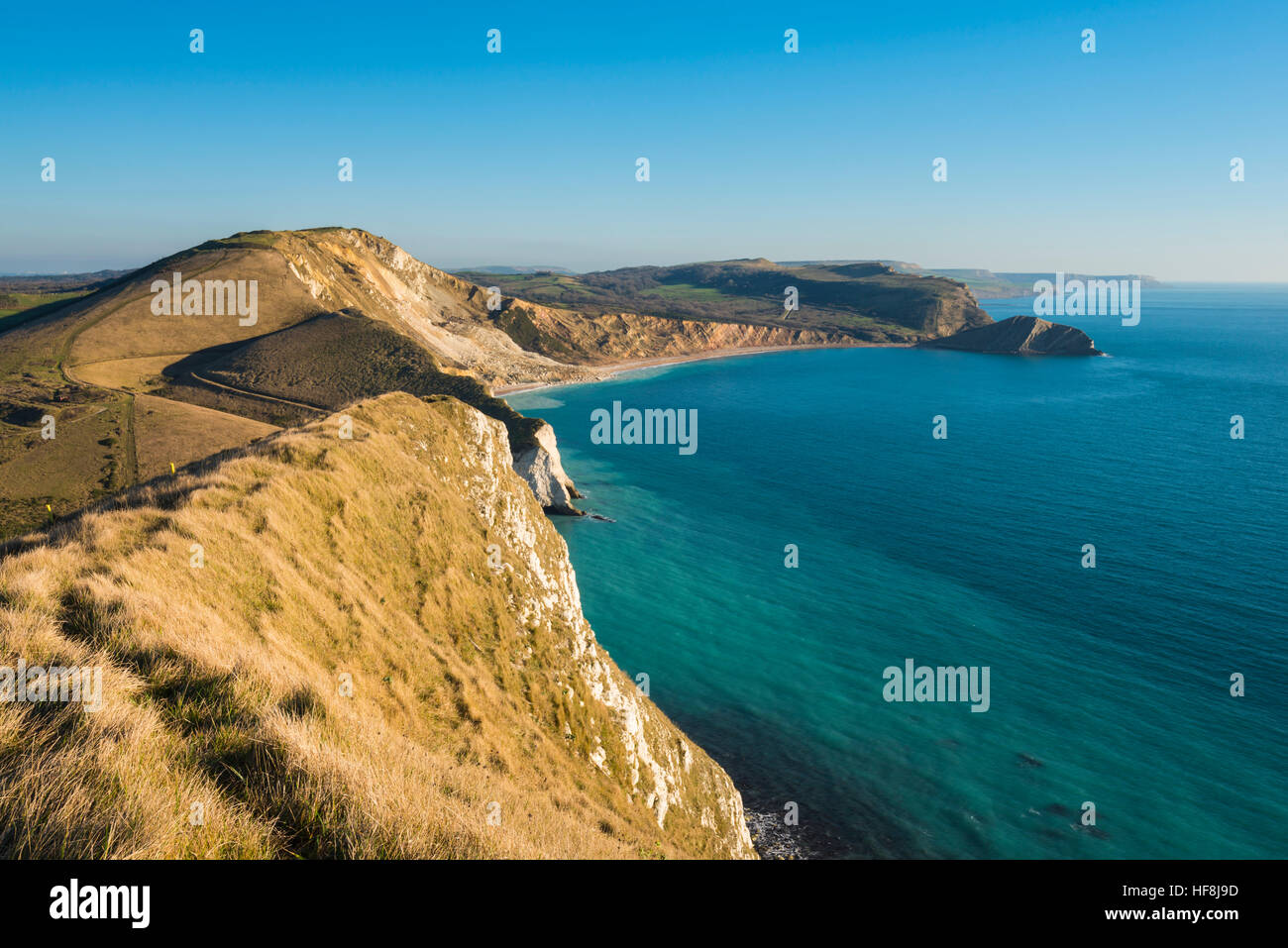 Warbarrow Bay, Dorset, UK. 29 décembre 2016. Météo britannique. Warbarrow Bay, vu de Bindon Hill au sein de l'Armée de Lulworth, sur la côte jurassique du Dorset sur un clair et ensoleillé de l'hiver journée de décembre. Les promenades sur la plage de l'Armée de Lulworth offrent des vues spectaculaires sont certaines des régions les plus reculées sur la côte du Dorset, et sont ouverts uniquement pendant les vacances scolaires et certains week-ends. Photo de Graham Hunt/Alamy Live News Banque D'Images