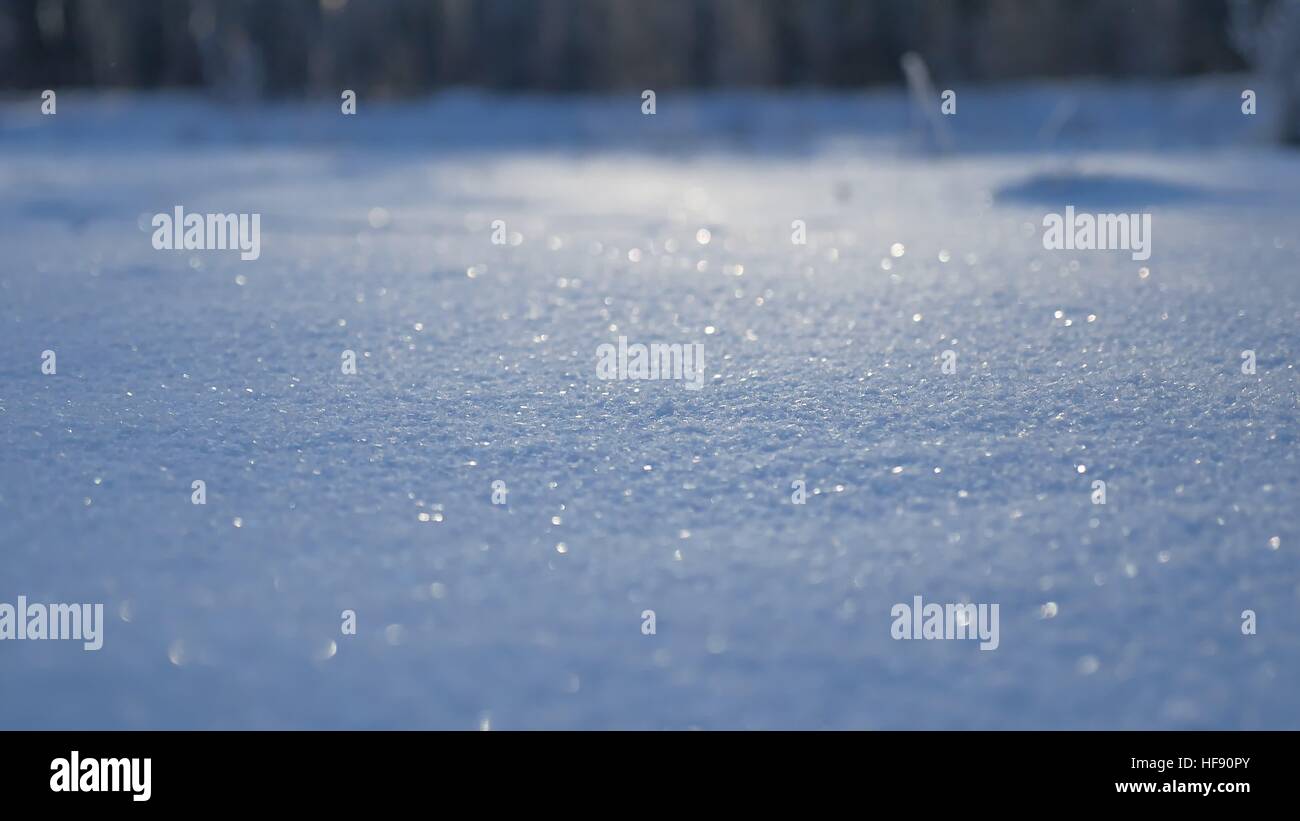 Fond d'hiver paysage nature shine snow soleil beau paysage Banque D'Images