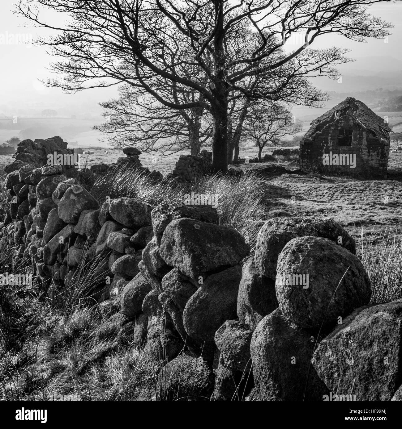 L'ancienne grange en pierre à l'Roaches situé dans le comté de Staffordshire. Banque D'Images