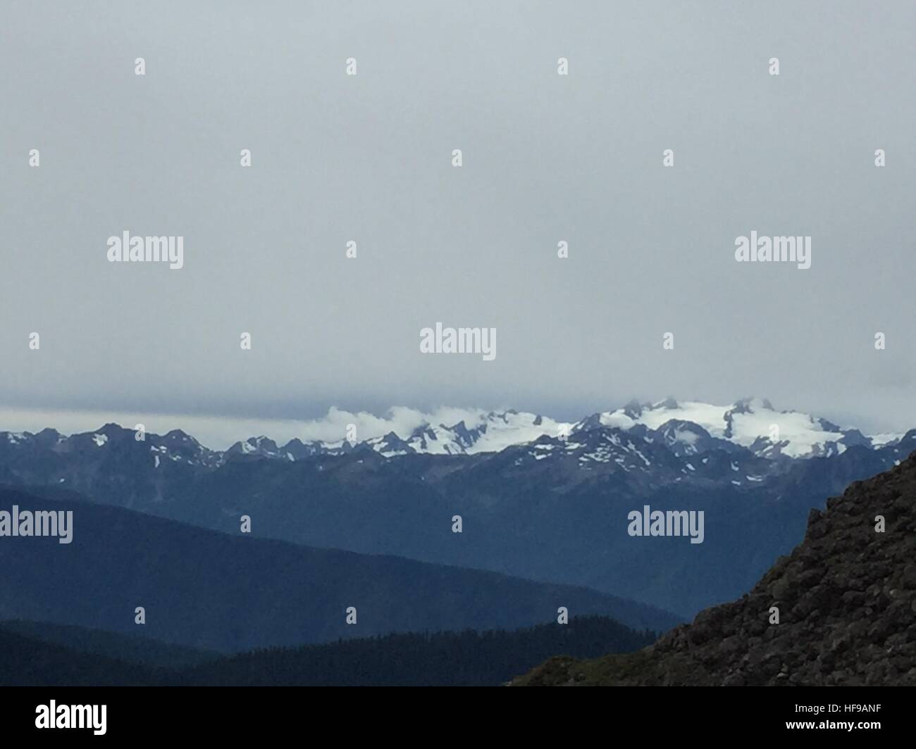 Le mont Olympe, la péninsule Olympic National Park, Washington, États-Unis d'Hurricane Ridge Banque D'Images