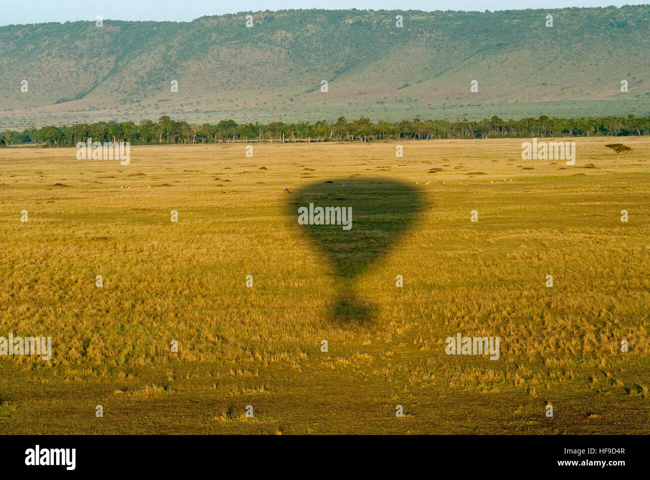 Balloon ombre sur le Masai Mara Banque D'Images