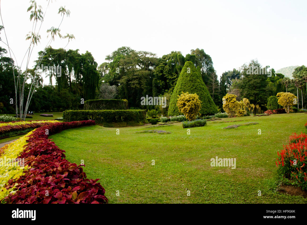 Royal Peradeniya Botanical Gardens - Kandy - Sri Lanka Banque D'Images