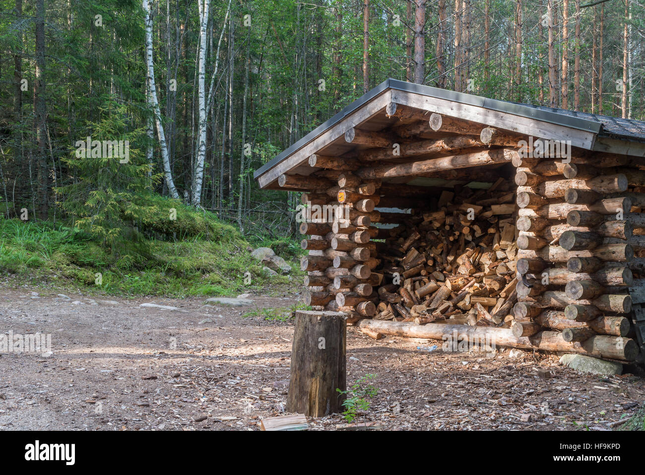 Woodshed plein de journaux dans le parc national de Finlande Banque D'Images