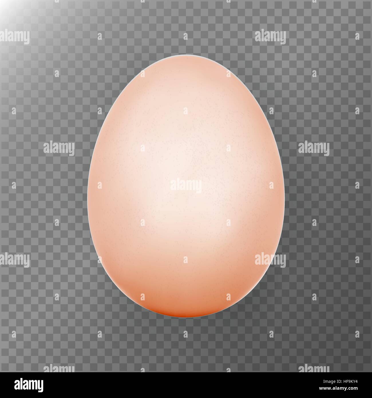 Oeuf de poule. Fond transparent. De vide réaliste produit écologique naturel. Alimentation saine. Produits alimentaires. Symbole de Pâques. Modèle d'oeufs pour vous Illustration de Vecteur