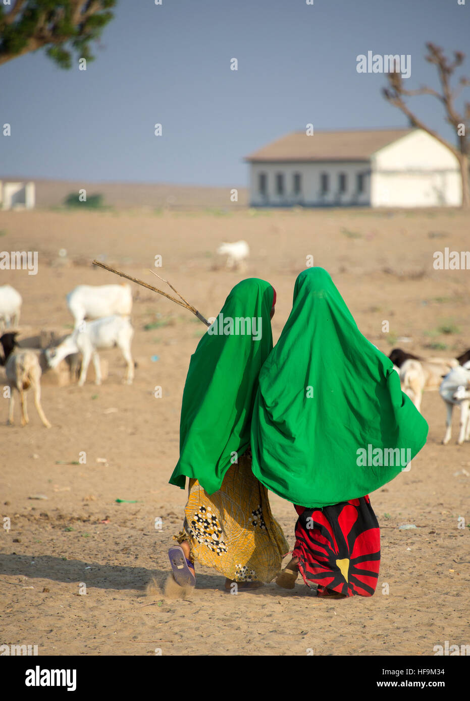 Deux jeunes filles somaliennes à l'école à pied dans les régions rurales de la Somalie Banque D'Images