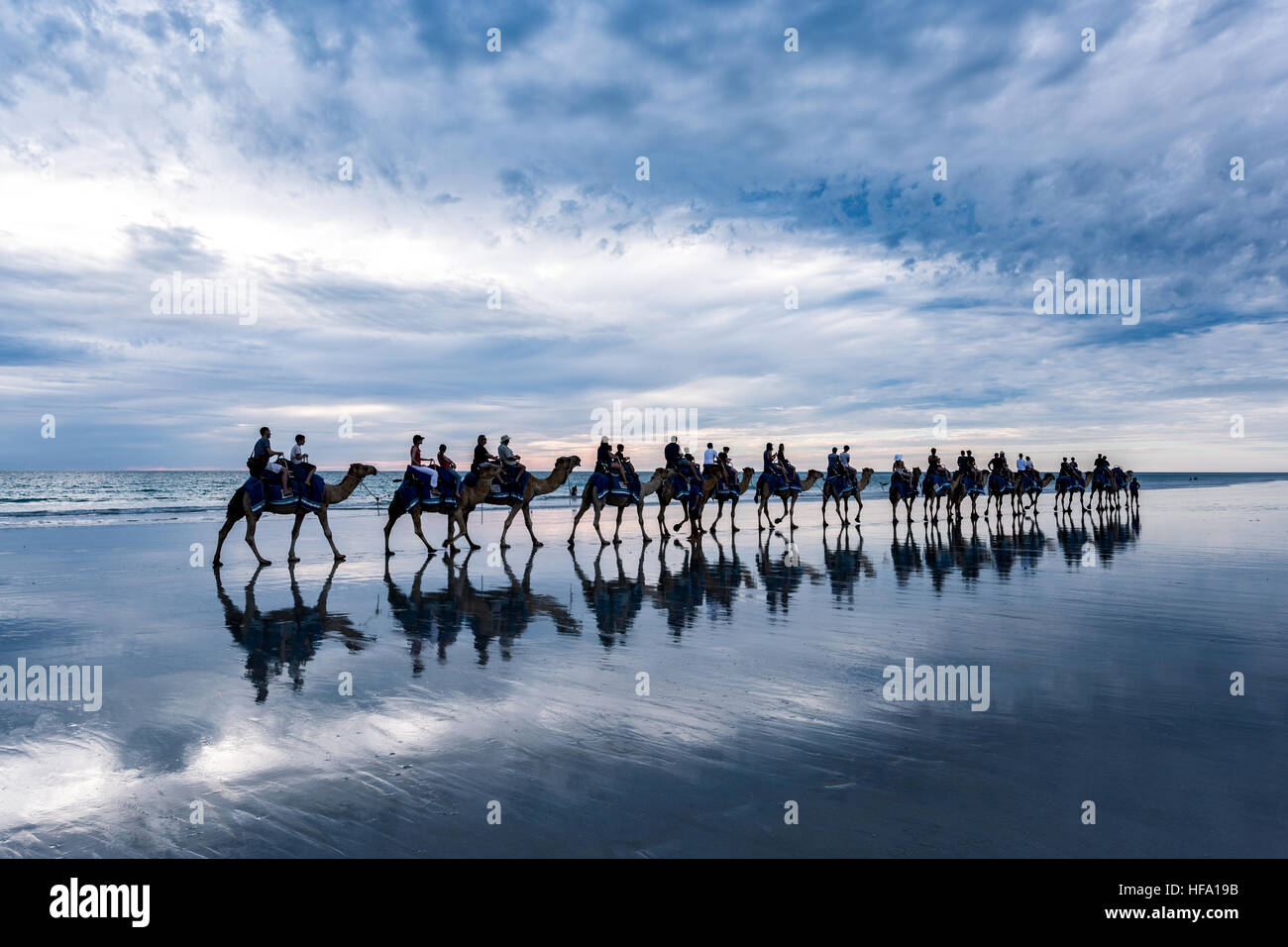 Cable Beach, Australie occidentale. Chameaux sur la plage au coucher du soleil Banque D'Images