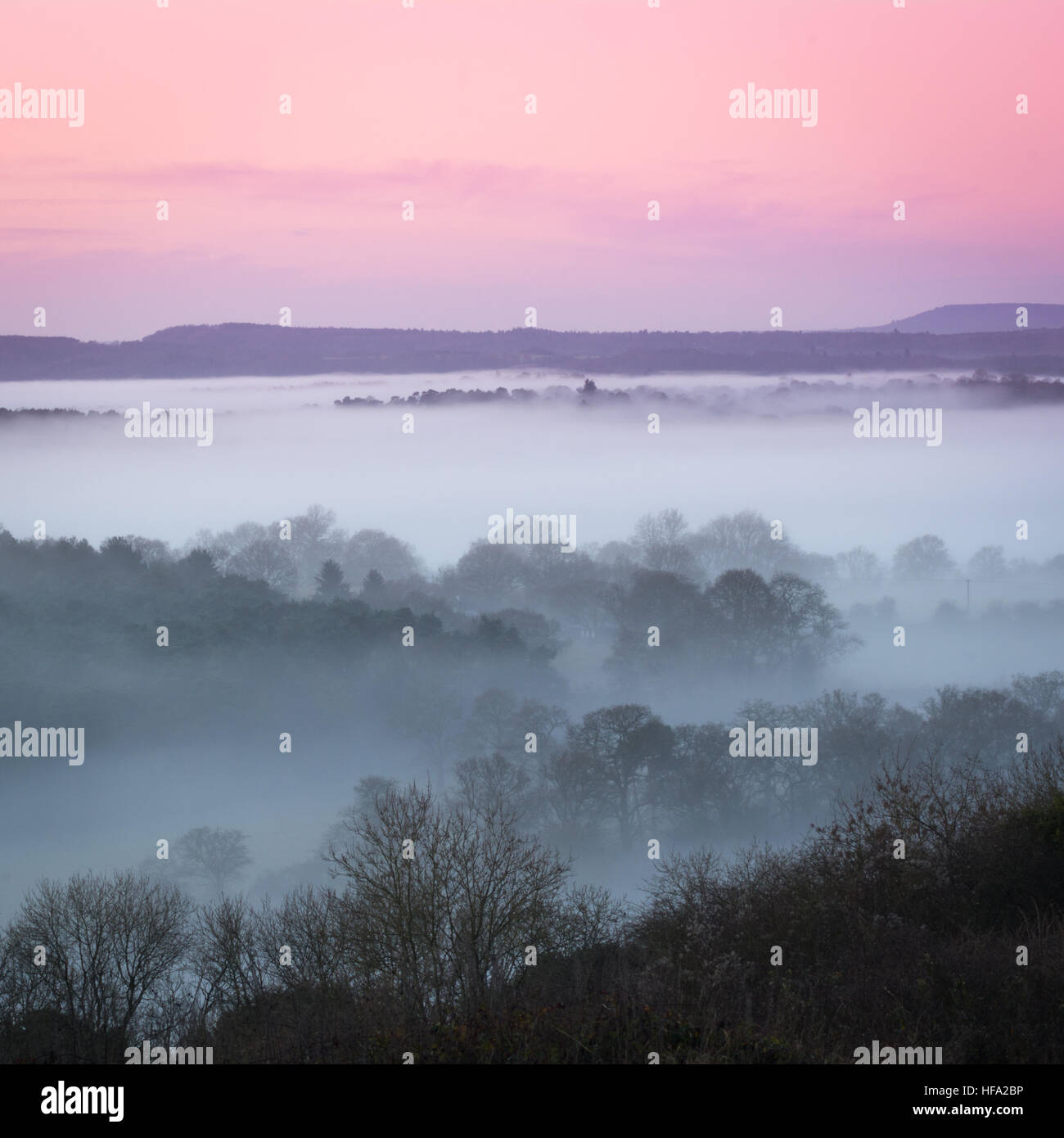 Newland's Corner dans l'AONB de Surrey Hills, Royaume-Uni. Une scène de campagne ou un paysage brumeux tôt le matin en hiver ou en décembre Banque D'Images