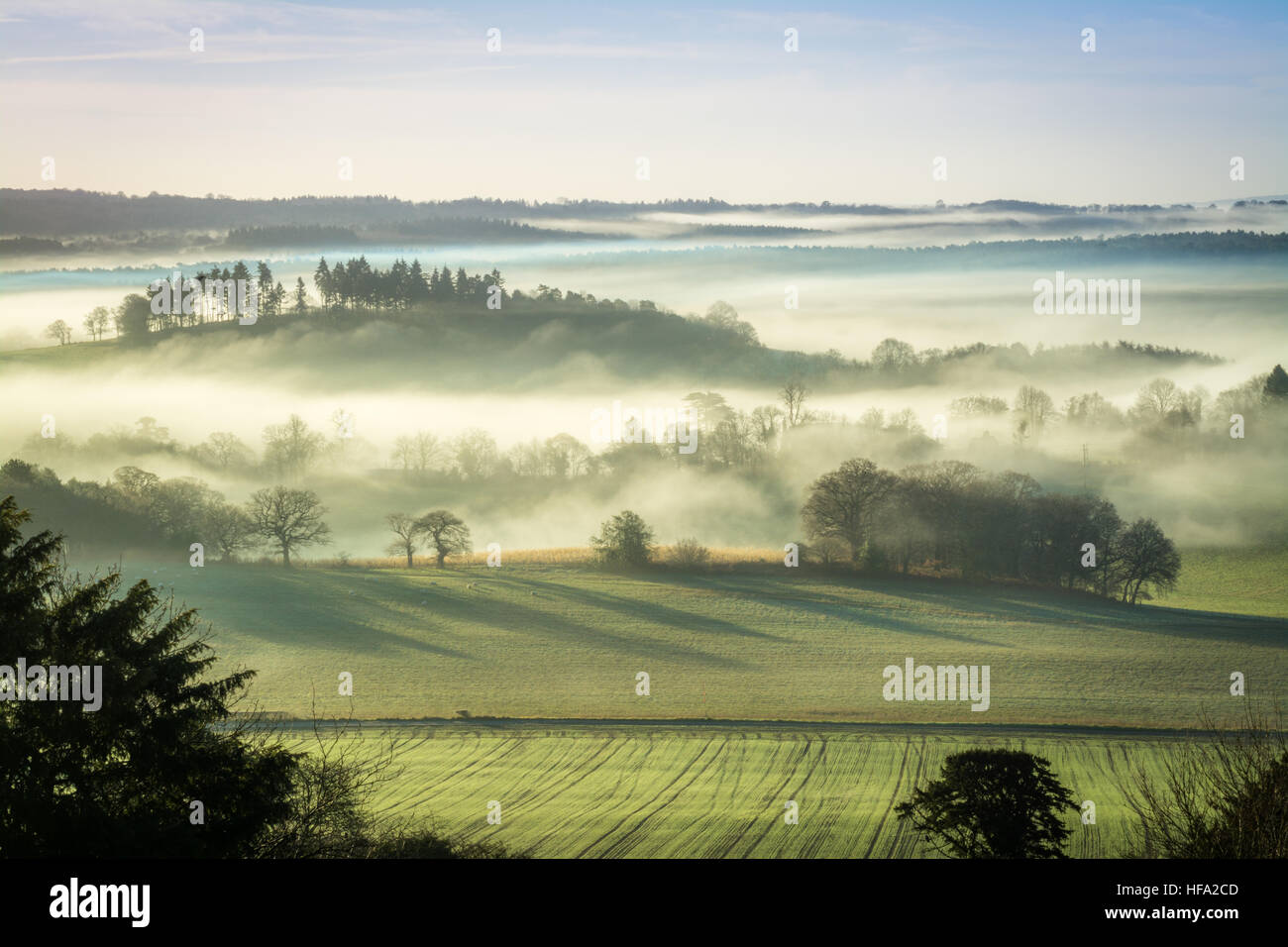 Newland's Corner dans l'AONB de Surrey Hills et North Downs, Royaume-Uni. Une scène de campagne ou un paysage brumeux tôt le matin en hiver ou en décembre Banque D'Images