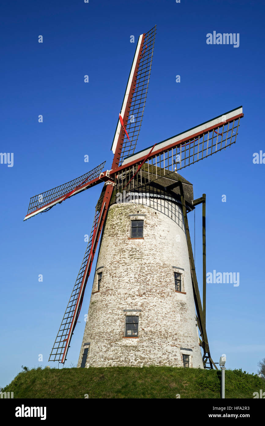 Le Schellemolen / Schelle mill moulin à vent traditionnel, le long du canal Damse Vaart près de Damme, Flandre occidentale, Belgique Banque D'Images