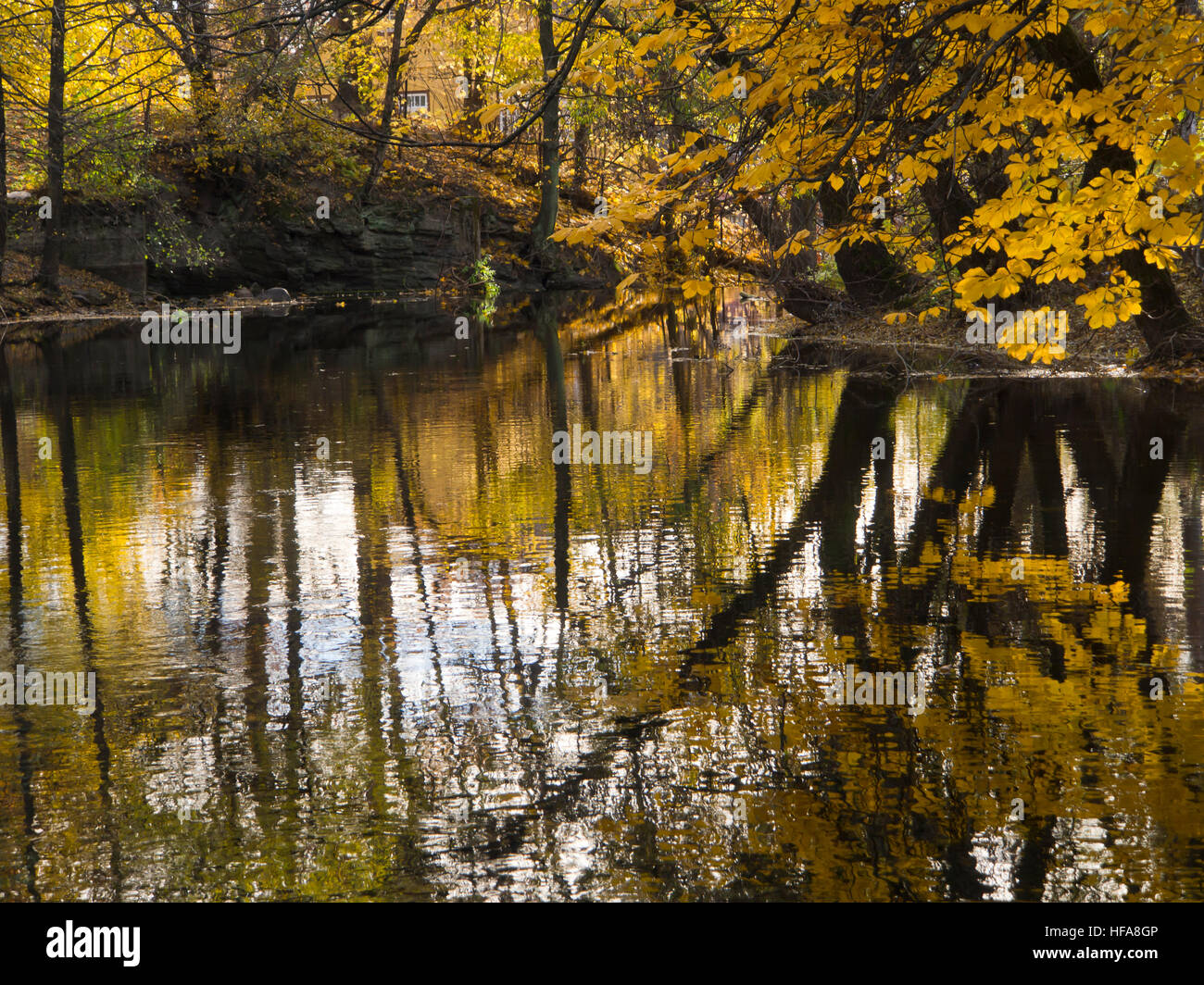 Dominant les rives du jaune de la rivière Akerselva réflexions sur un dimanche d'automne, une promenade en plein air populaires dans la région de Oslo Norvège Banque D'Images Dominant les rives du jaune de la rivière Akerselva réflexions sur un dimanche d'automne, une promenade en plein air populaires dans la région de Oslo Norvège Banque D'Images
