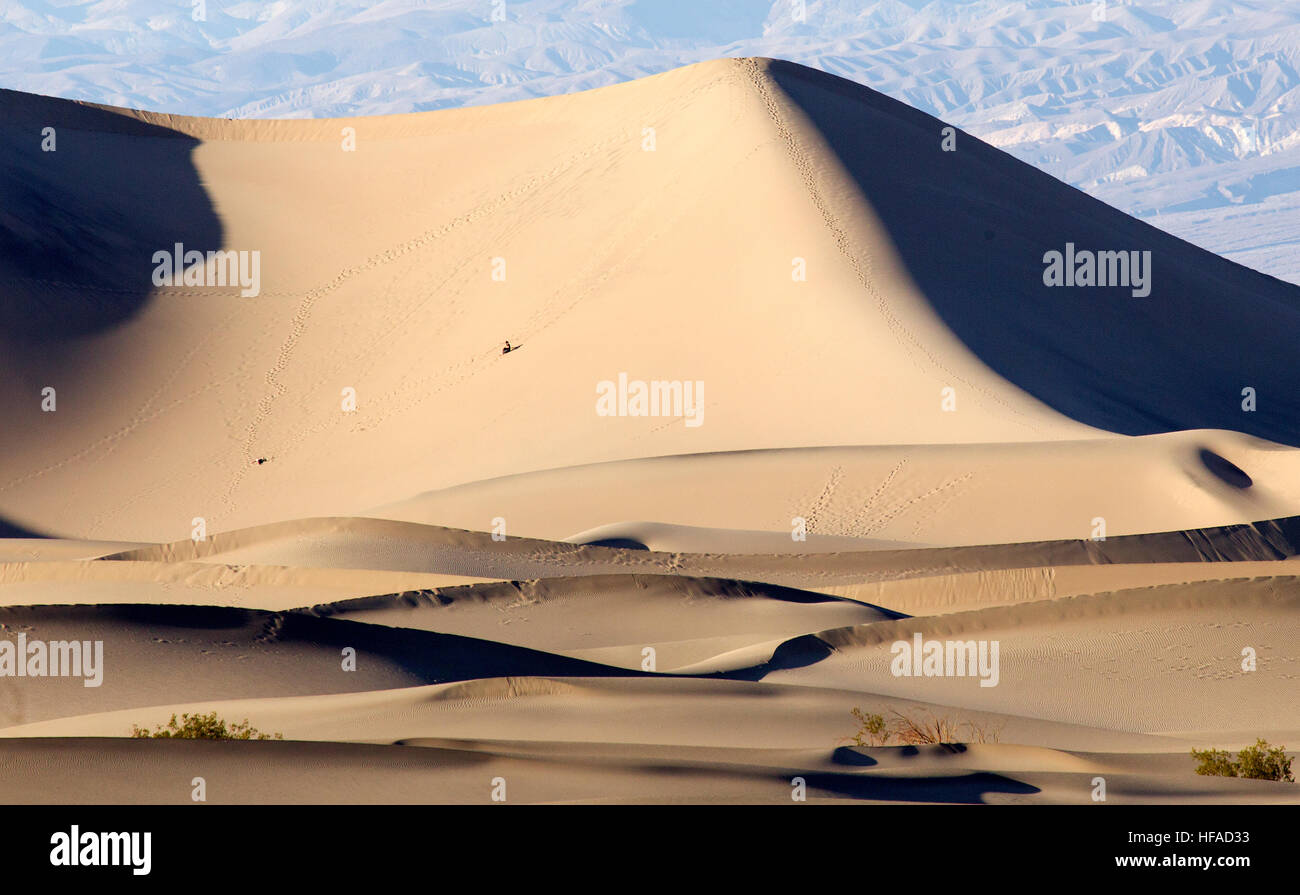 Death Valley Mesquite Sand Dunes Banque D'Images