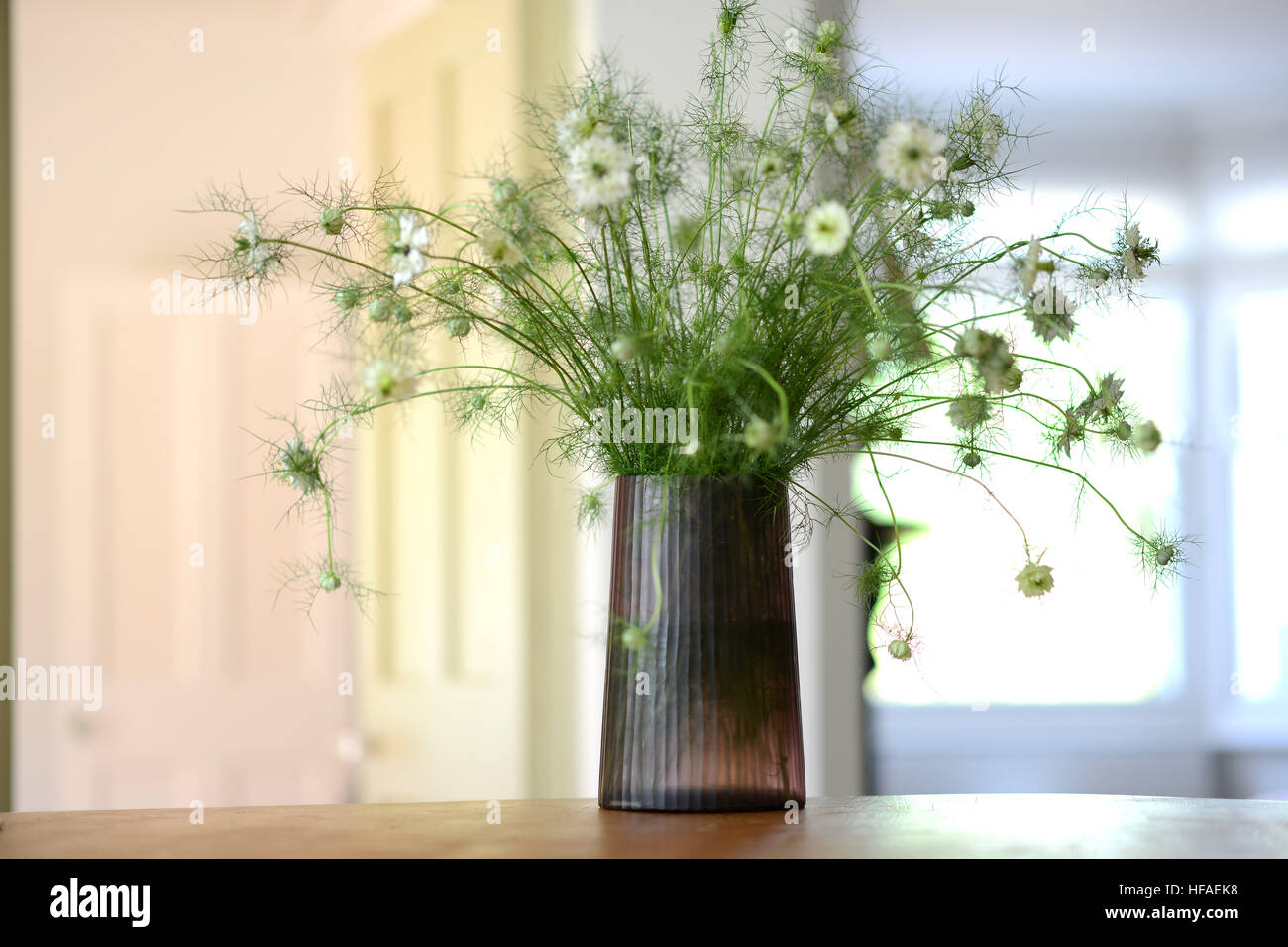 Vase en verre fumé avec amour-dans-un-buée à l'intérieur de fleurs de nigelle Banque D'Images