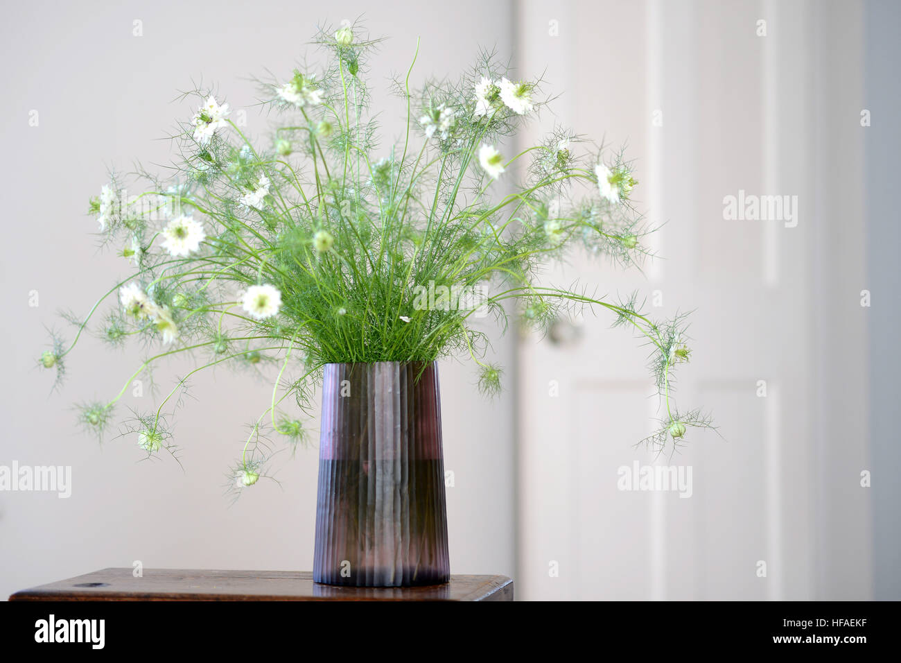 Vase en verre fumé avec amour-dans-un-buée à l'intérieur de fleurs de nigelle Banque D'Images