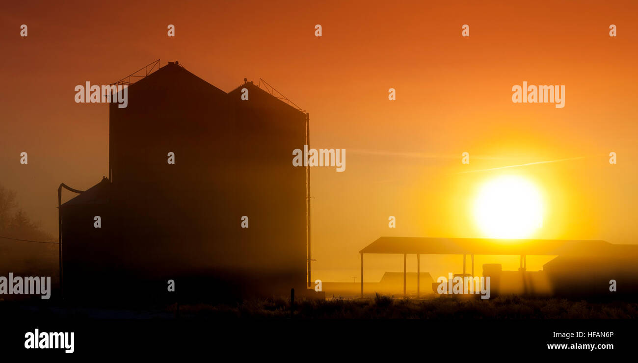 Vieille ferme les silos et le tracteur au lever du soleil Banque D'Images