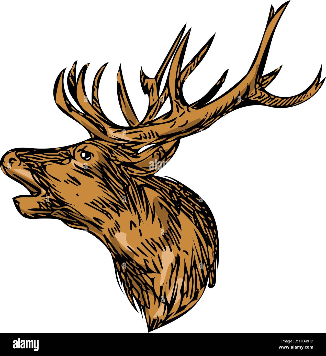 Croquis dessin illustration d'un style red deer stag head buck roaring face set isolées sur fond blanc. Illustration de Vecteur