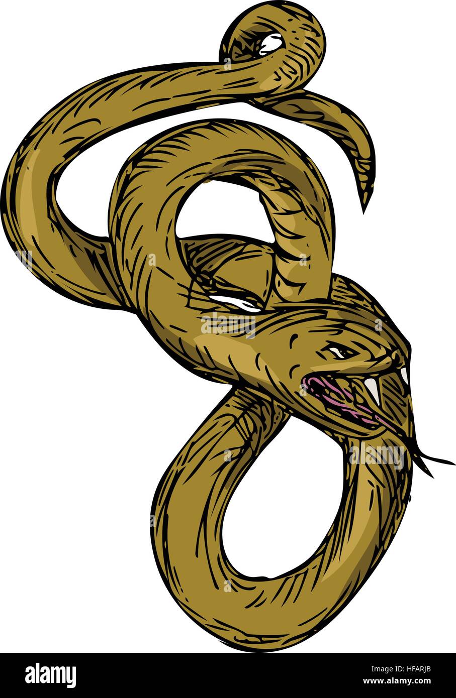 Style croquis dessin illustration d'un serpent viper enrouler les serpentins avec la bouche ouverte et la langue dehors prêt à bondir sur fond blanc isolé. Illustration de Vecteur