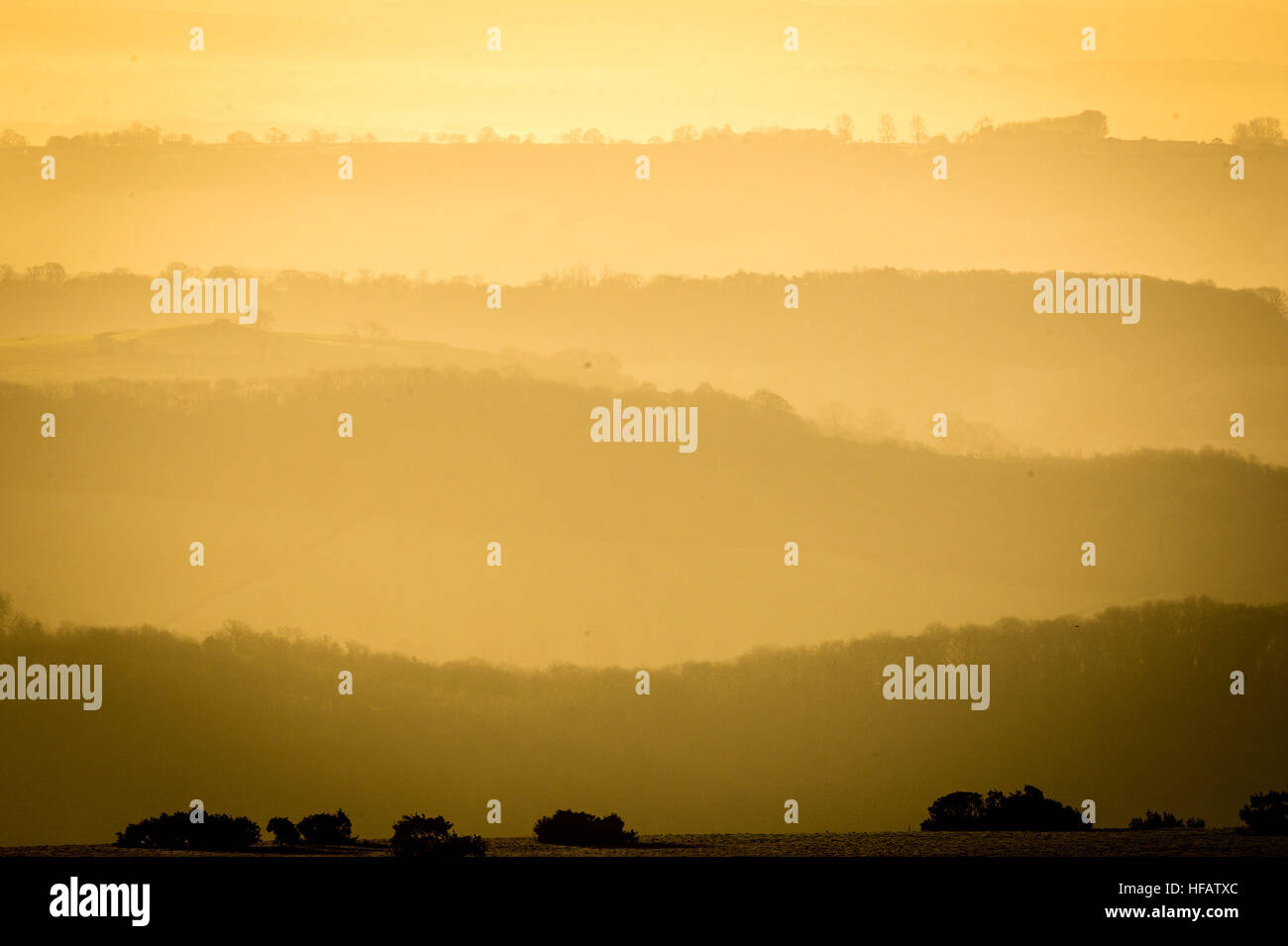 Crêtes bordées d'poke à travers la brume et le brouillard comme il se bloque dans les vallées sur les collines de Mendip, Somerset au lever du soleil après une nuit de brouillard et des températures sous zéro à travers les régions du sud de l'Angleterre. Banque D'Images