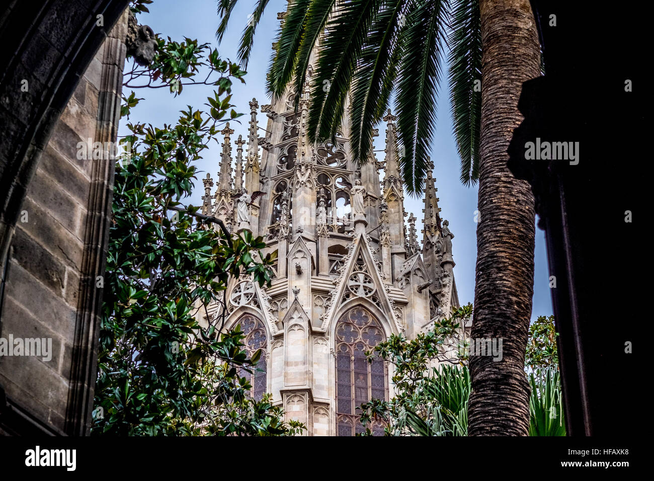 La Cathédrale de Barcelone Voir l'intérieur palmier arch arches feuillage vert forêt Banque D'Images