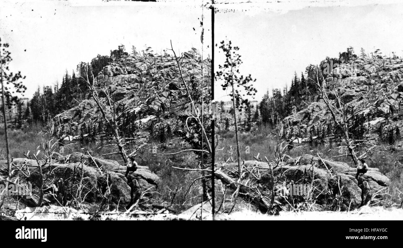 Vue près de la tête de Crow Creek, Black Hills, près de Sherman Banque D'Images