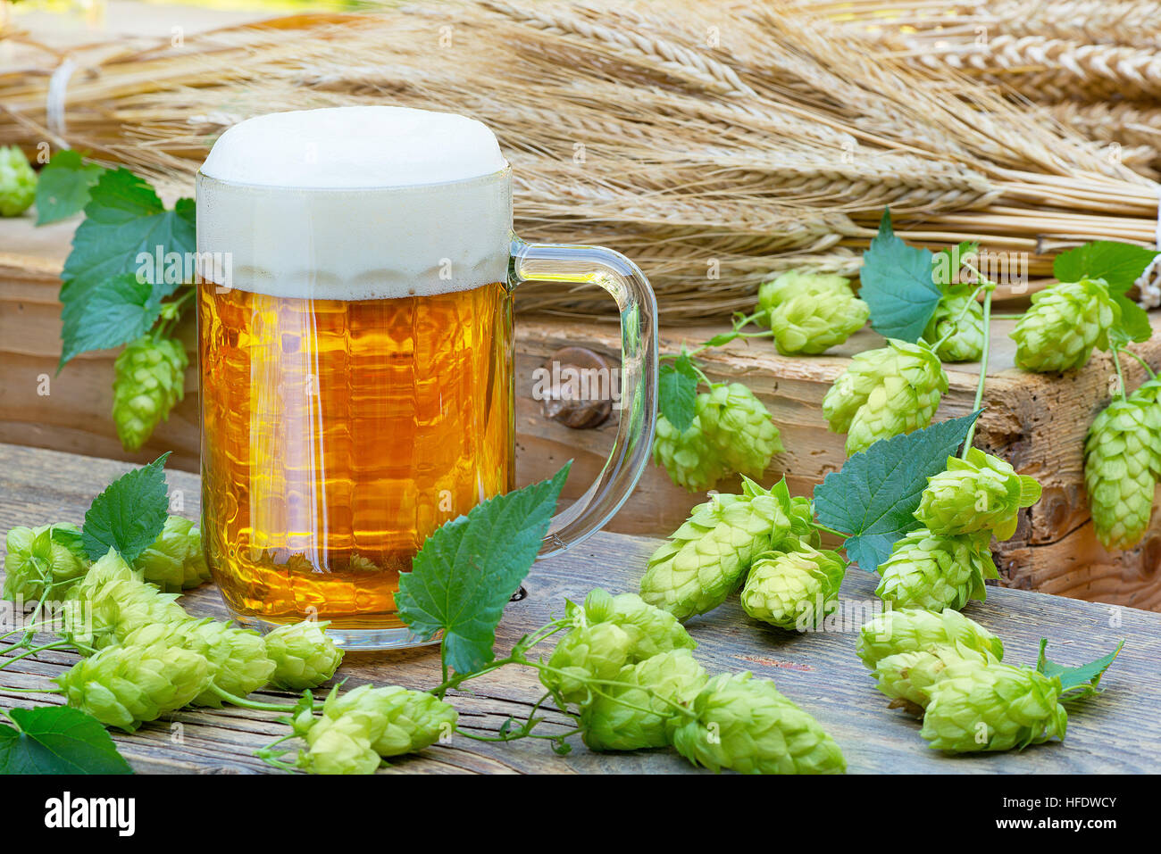 Nature morte avec verre de bière et de cônes de houblon Banque D'Images