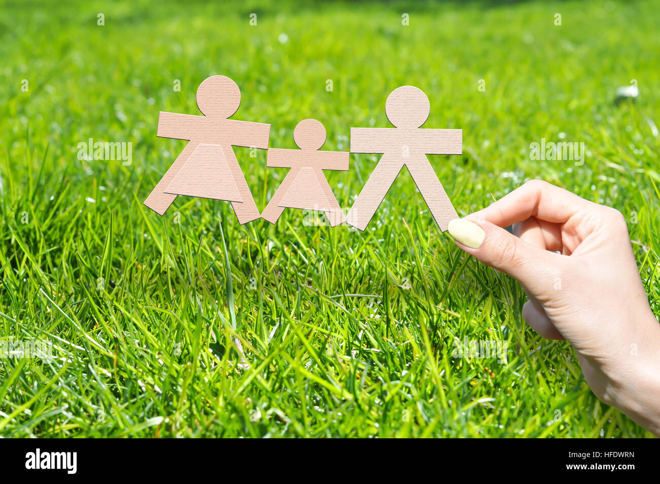 Concept d'assurance de la famille avec la famille en carton on Green grass Banque D'Images