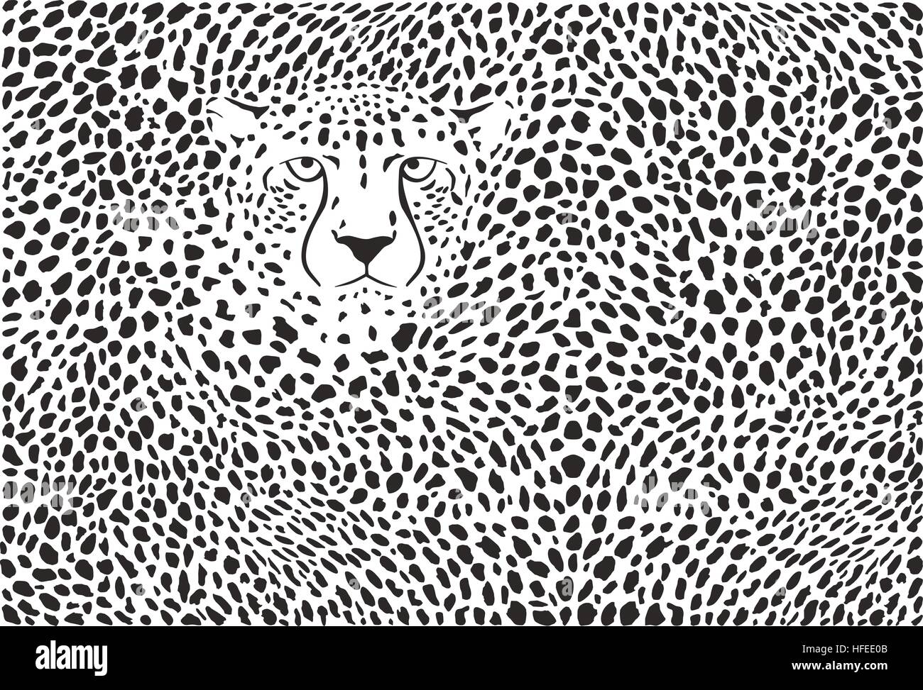 Background cheetah skins et chef Banque D'Images