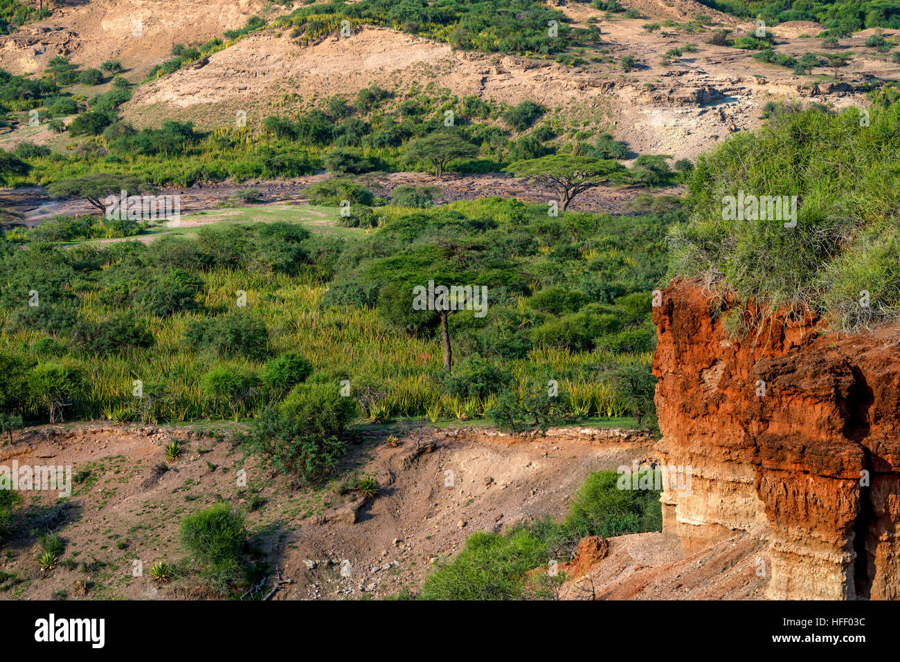La gorge d'Olduvai est le berceau de l'humanité, Tanzania, Africa Photo  Stock - Alamy