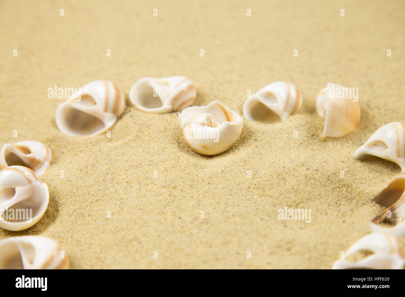 Valentine fait avec des coquillages sur fond de sable Banque D'Images