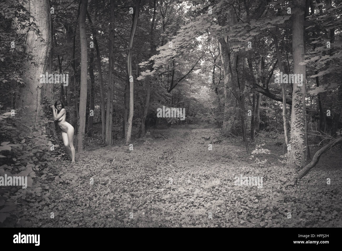 Jeune femme nue dans la forêt Banque D'Images