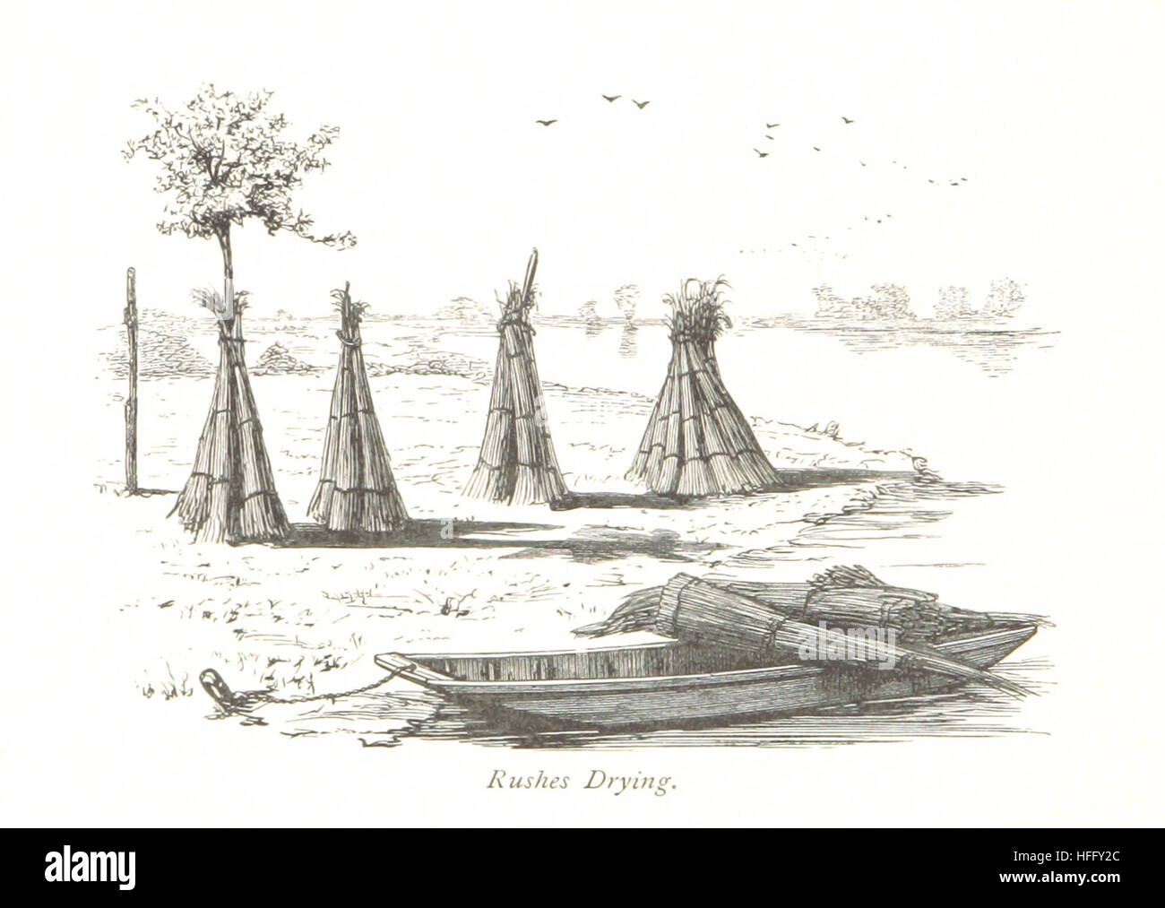 Cette image tirée de « Life on the Upper Thames » offre une représentation de la vie le long de la Tamise dans la partie supérieure, montrant des paysages ruraux, des activités au bord de la rivière et le style de vie unique de ceux qui vivaient près de la rivière au XIXe siècle. Banque D'Images