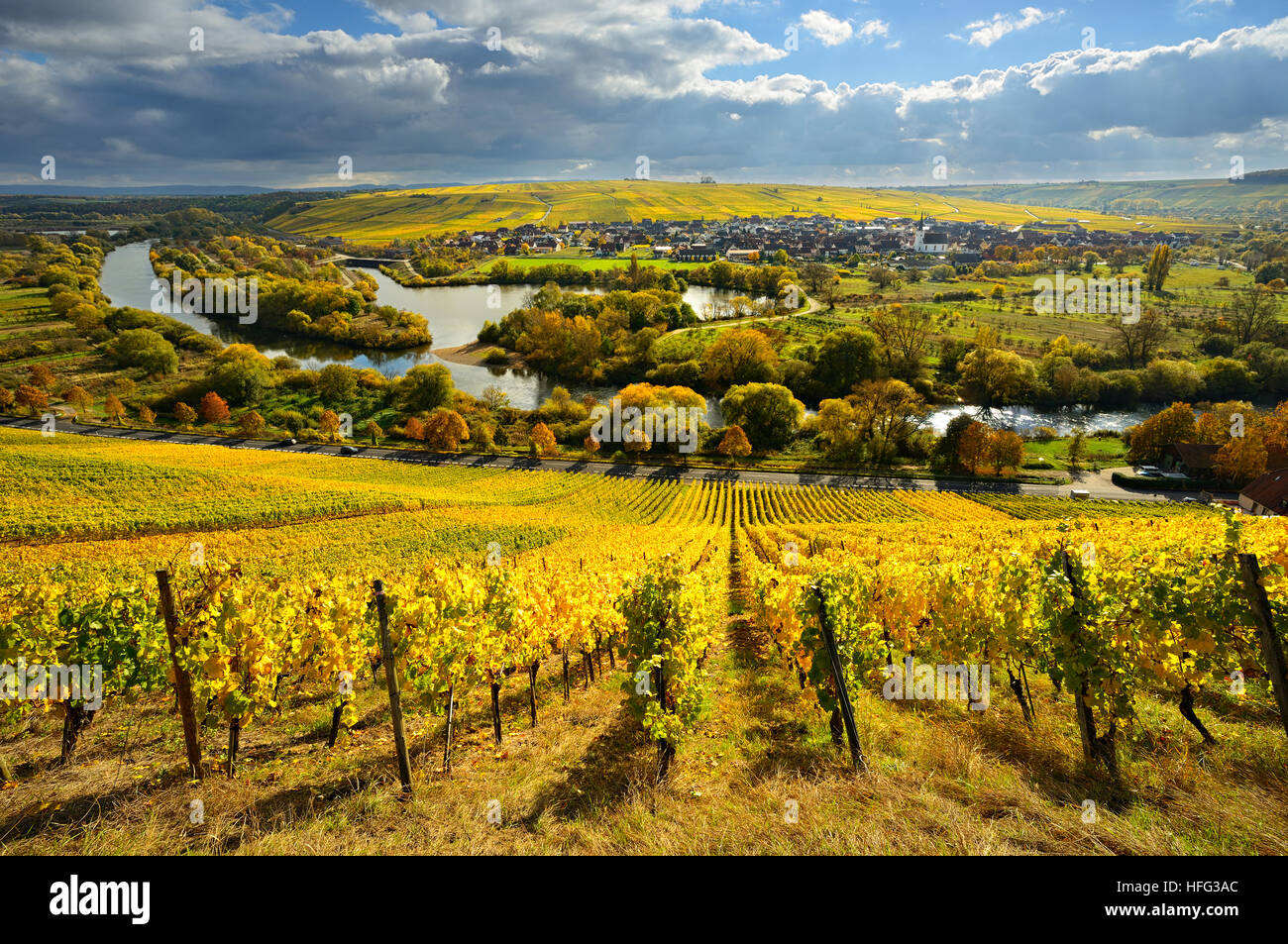 Vignes en automne, vue sur la rivière, principale ville viticole de Nordheim et Kreuzberg, des nuages sombres, en Basse-franconie, Franconia Banque D'Images