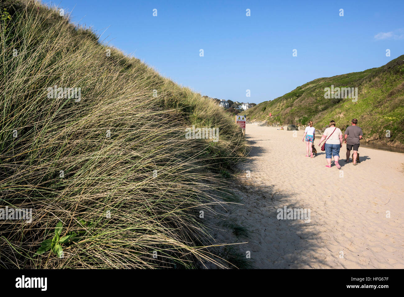 Quelques vacanciers dunes plantées d'ammophile surplombant la plage de Crantock primé à Newquay, Cornwall, England, UK. Banque D'Images