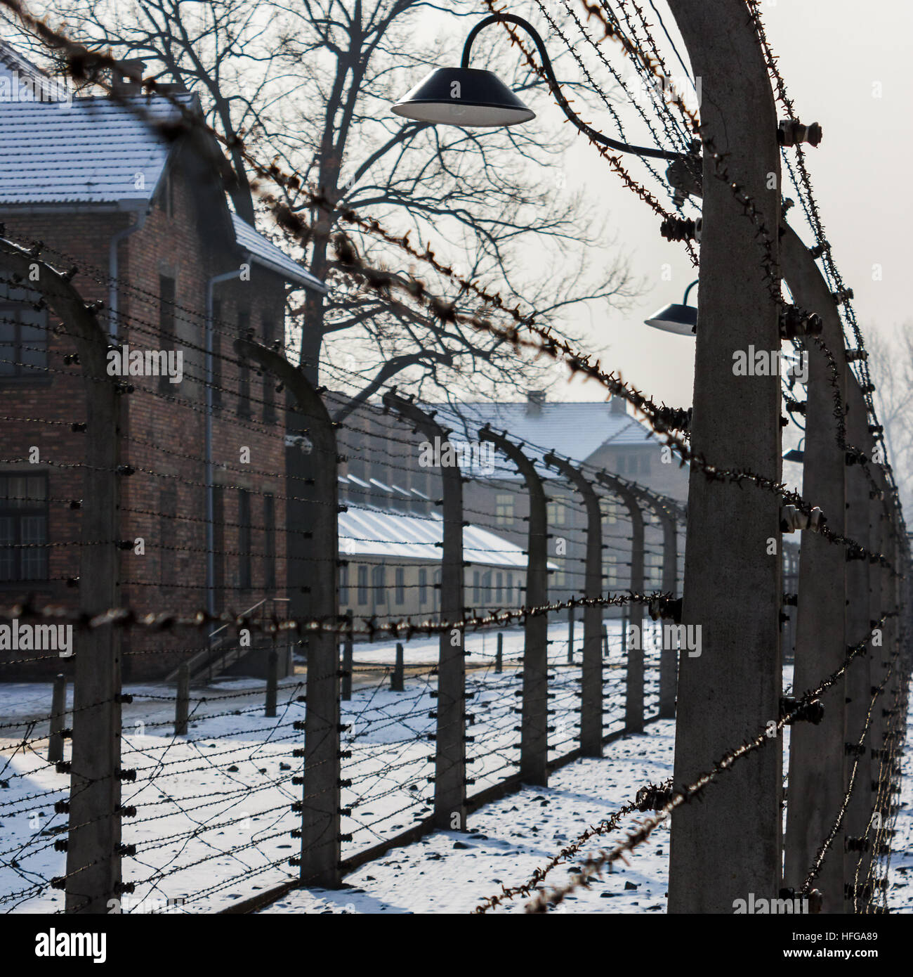 Lits jumeaux des barbelés autour de l'perimerter d'Auschwitz I ont été électrifié pour empêcher les détenus de s'échapper. Banque D'Images