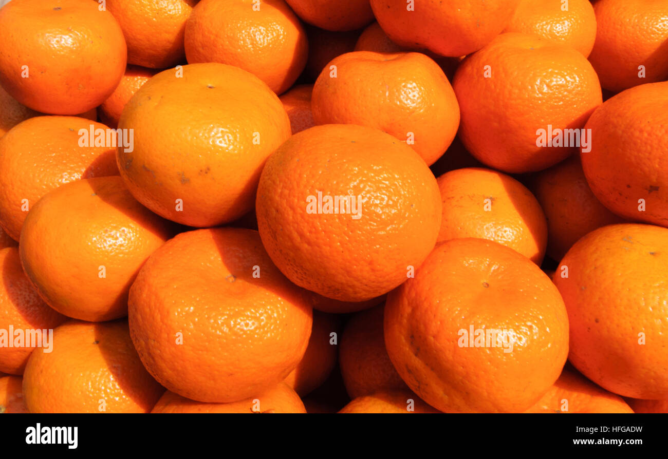 Kolkata (Calcutta, Kalkutta) : mandarines, Bengale occidental, Inde, Westbengalen Banque D'Images