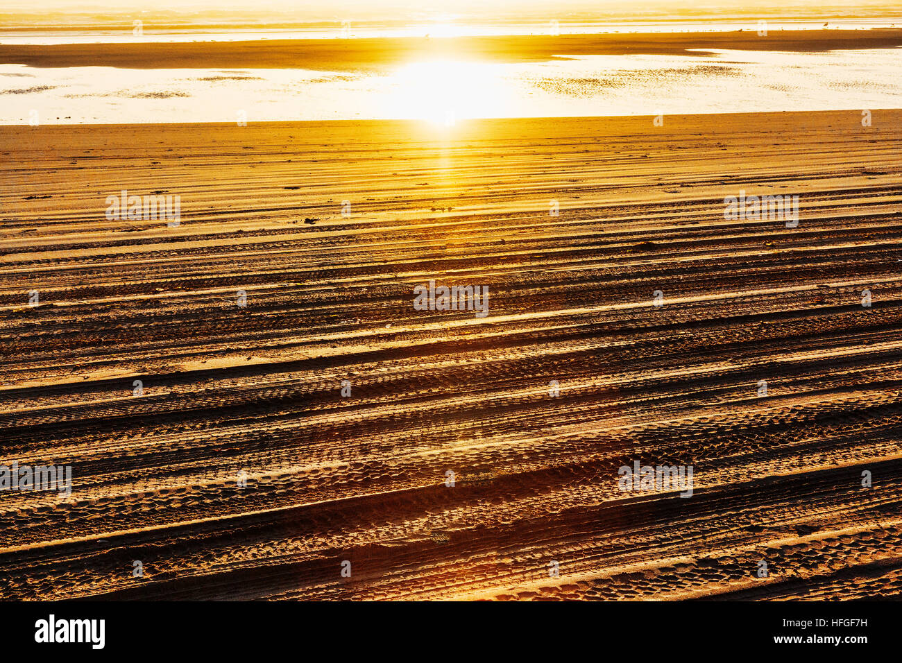 Les traces de pneus sur la plage. Grayland Beach, sur la côte sud de Washington Paciific Westport au coucher du soleil. Banque D'Images