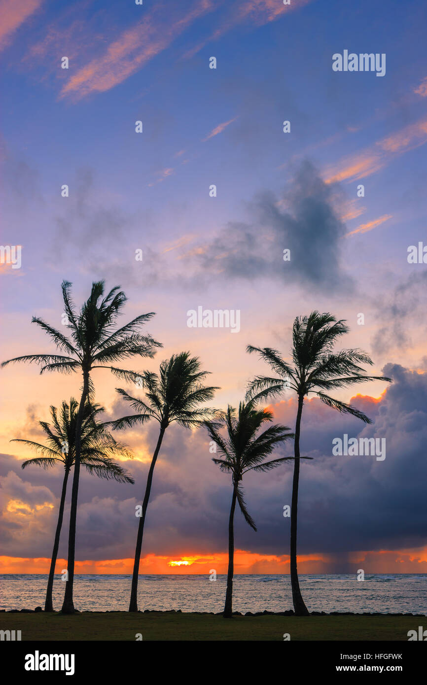 Lever du soleil à Kapaa Beach Park avec des palmiers - côte est de Kauai, Hawaii, USA Banque D'Images