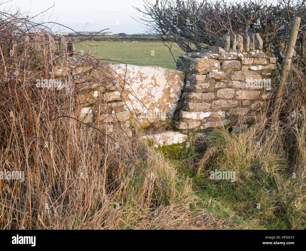 Pays stile avec mur Banque D'Images