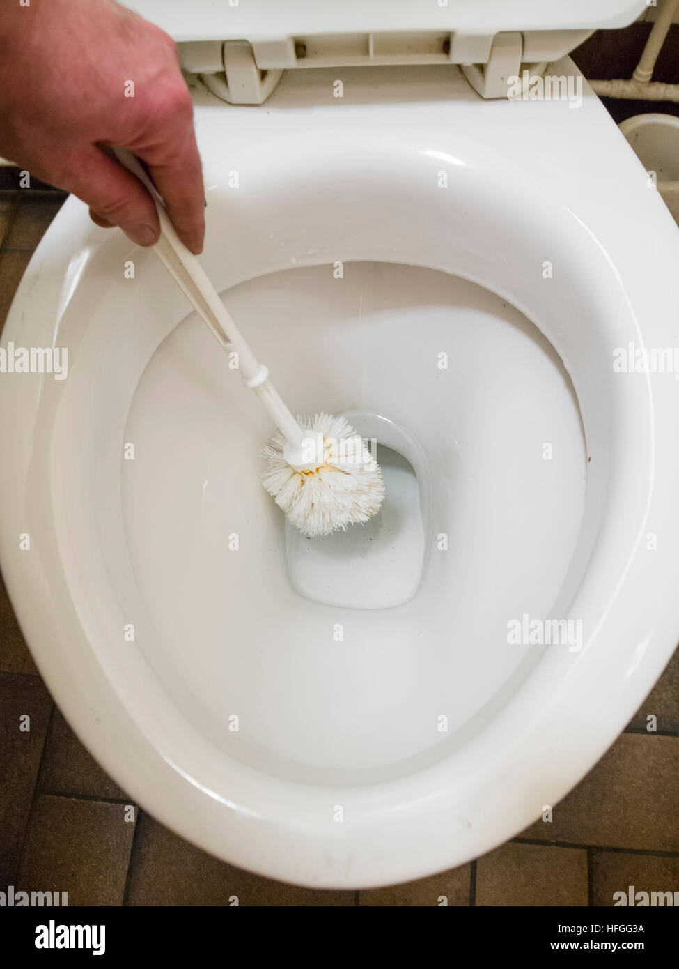 Brosse de nettoyage de la cuvette des toilettes avec Banque D'Images