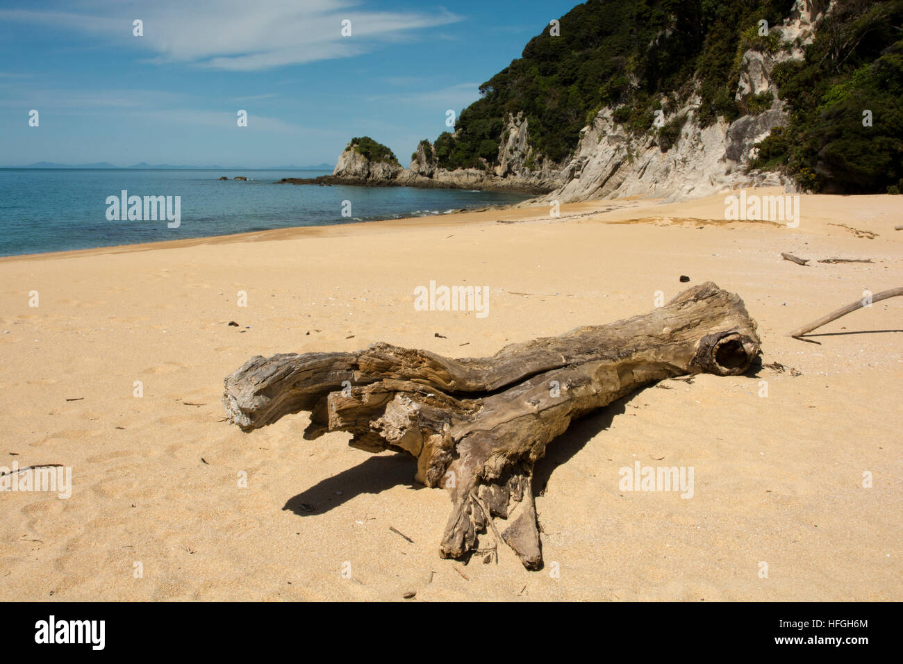 Bois mort sur la plage de la Baie d'Anatakapau dans tout le nord de l'Abel Tasman National Park. Banque D'Images