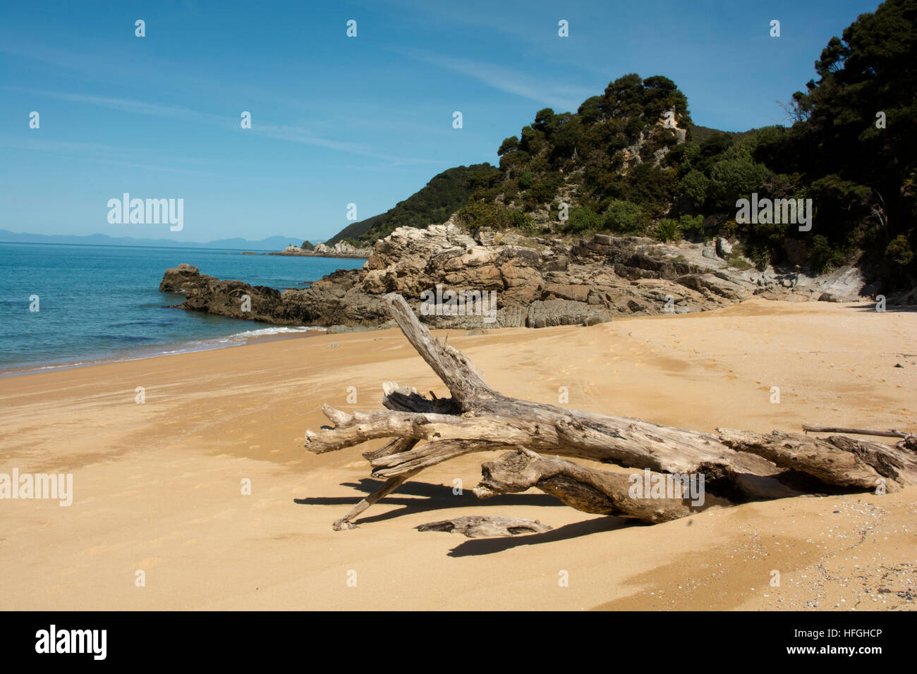 Bois mort sur la plage de la Baie d'Anatakapau dans tout le nord de l'Abel Tasman National Park. Ni la GI Banque D'Images