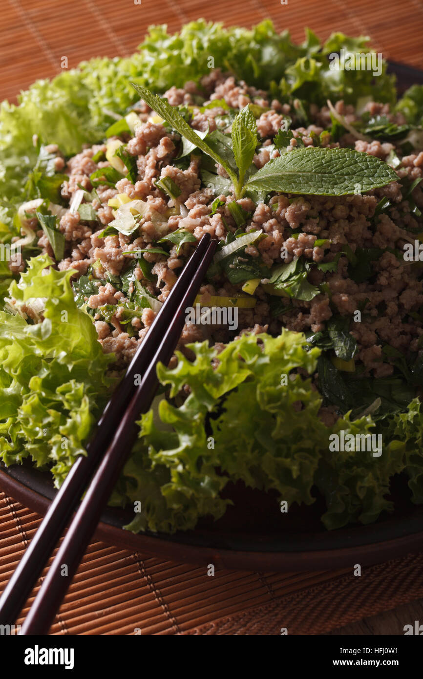 La nourriture asiatique : salade de viande hachée aux herbes gros plan sur une assiette. La verticale Banque D'Images