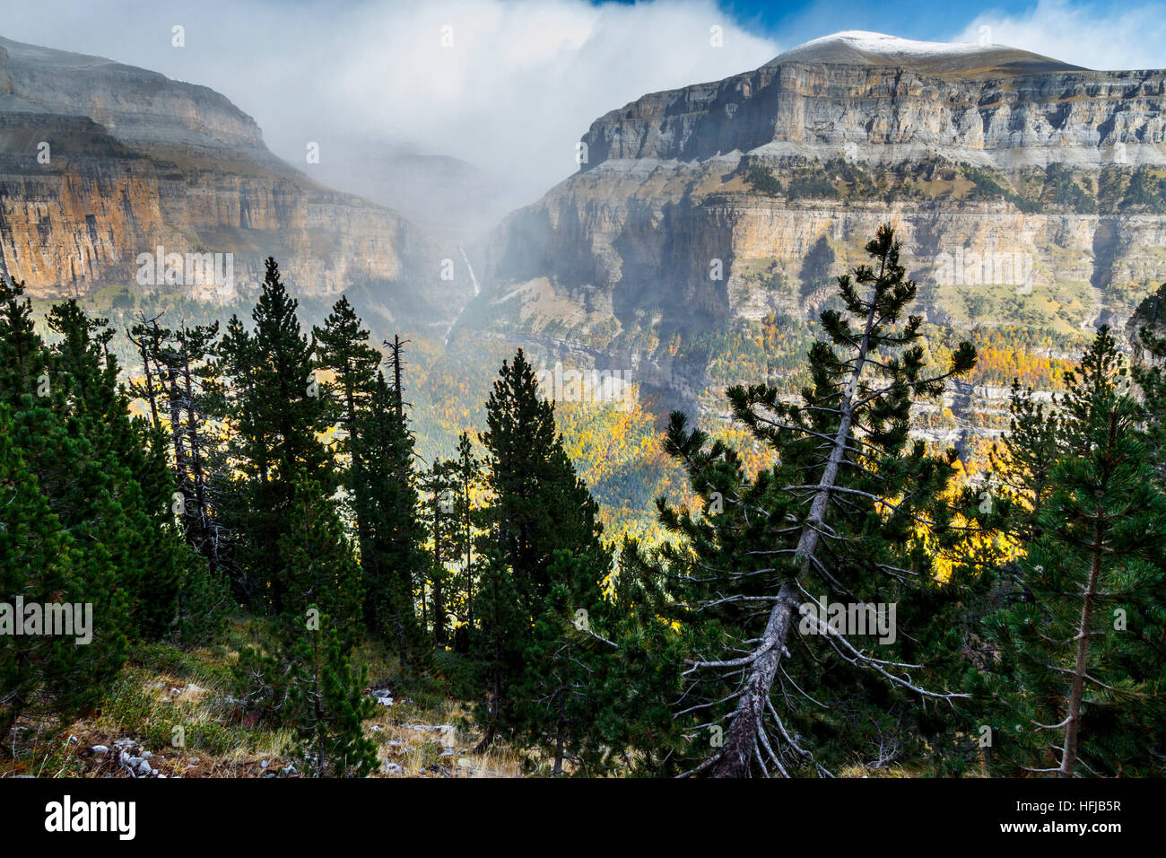 Vue montagnes et needleaved les arbres. Banque D'Images